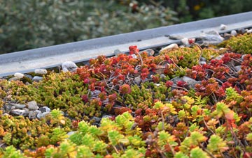 the cost of Ormacleit green roof installation