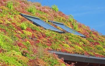Ormacleit living roof systems